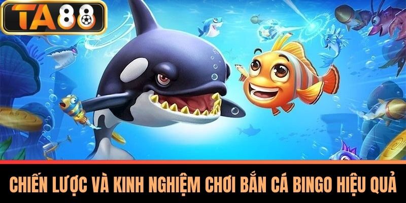 Bắn Cá Bingo - Chiến Thuật, Kinh Nghiệm Thực Chiến Tại TA88 4 Chiến Lược Và Kinh Nghiệm Chơi Bắn Cá Bingo Hiệu Quả
