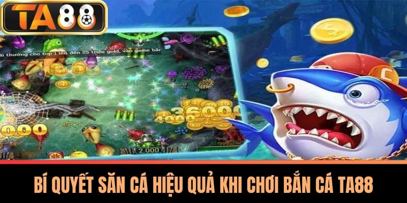 Bắn Cá TA88 - Trải Nghiệm Bí Quyết Chinh Phục Mọi Thử Thách 2 Bí Quyết Săn Cá Hiệu Quả Khi Chơi Bắn Cá TA88