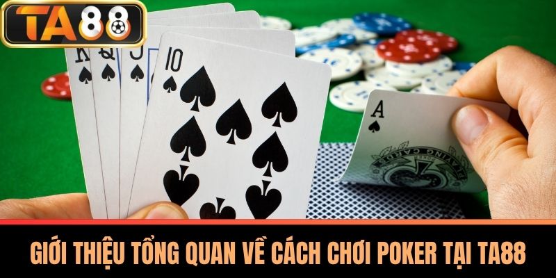 Cách Chơi Poker - Kỹ Năng Và Chiến Thuật Hiệu Quả Tại TA88 2 Giới Thiệu Tổng Quan Về Cách Chơi Poker Tại TA88