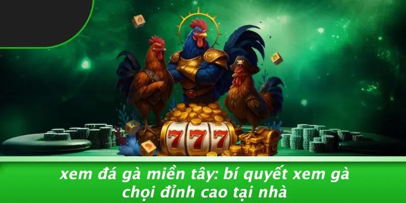 Xem Đá Gà Miền Tây
